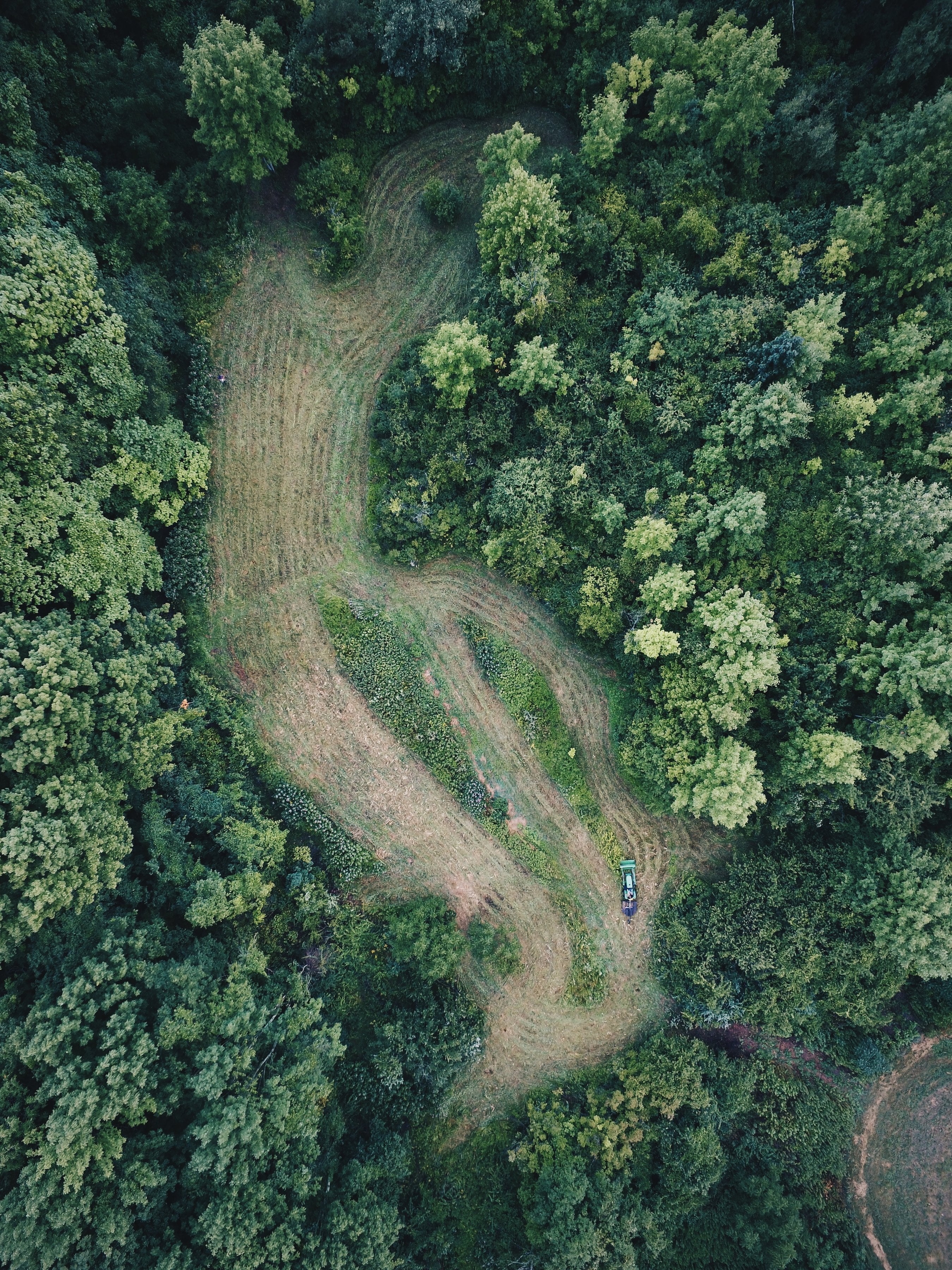 ZEISS Sunlens: A Step Towards Sustainability